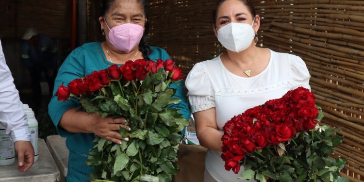 SEDAGRO otorga apoyo a productores de rosas