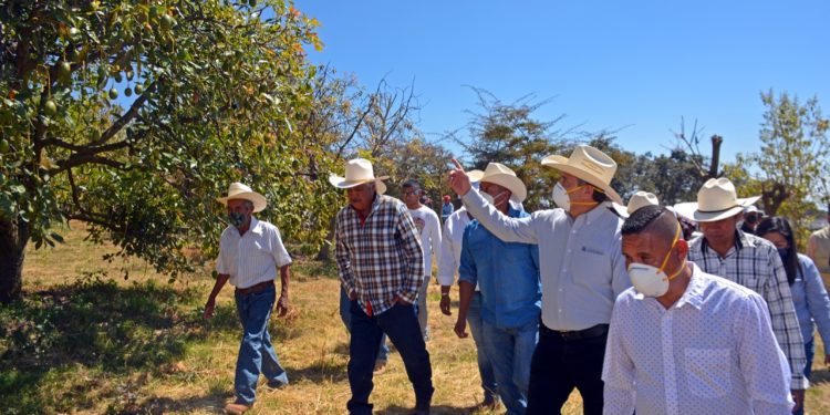 Autoridades de Cuernavaca acompañaran a productores de aguacate en proyectos hídricos