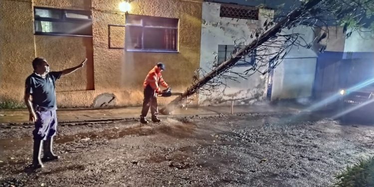 Basura, tiliches y ramas provocaron el taponamiento de coladeras: PPC