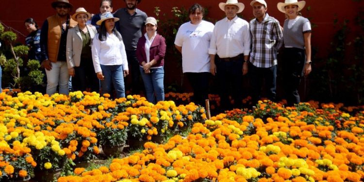 Exhorta Urióstegui a ciudadanos a consumir la consumir la flor de cempasúchil que se produce en Tetaela del Monte
