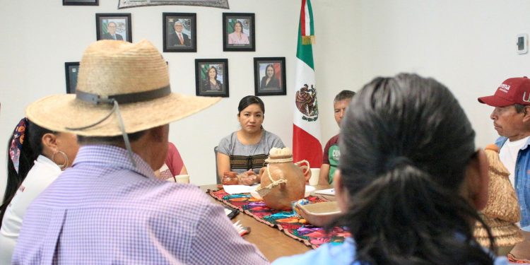 Define diputada Macrina Vallejo los derechos político-electorales de pueblos indígenas de Morelos