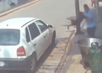 VIDEO: Sujeto arroja a perrito a un caso de carnitas con manteca hirviendo