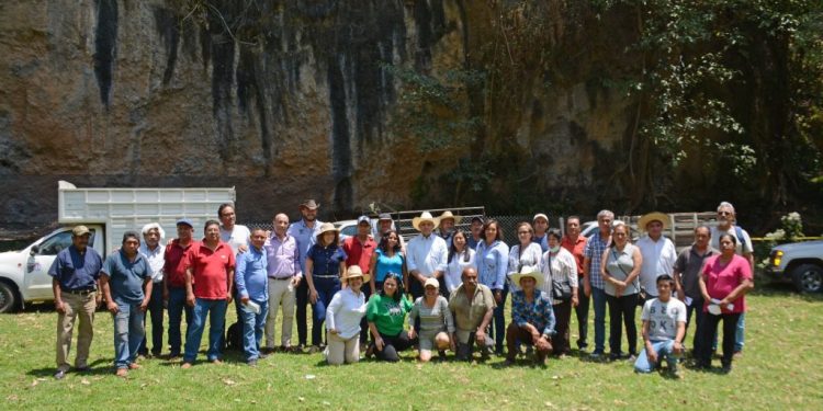 Gobierno municipal fortalece la producción y comercialización de productores locales con el programa “Cuernavaca Renace”