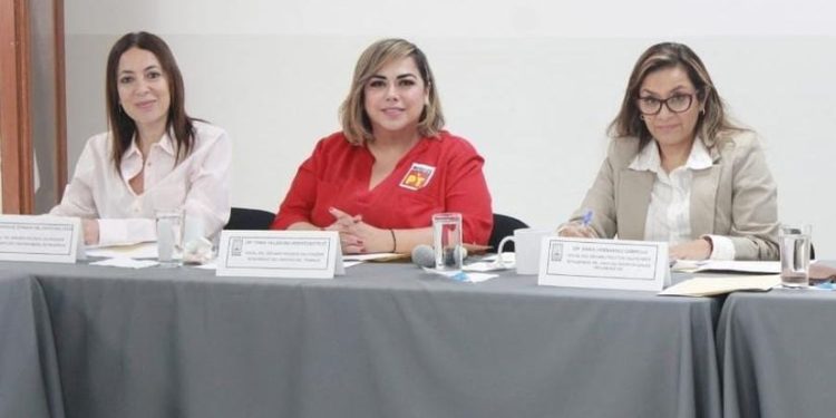 No habrá incremento al impuesto de nómina: Tania Valentina