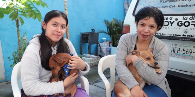 Refuerza Dip. Andy Gordillo campaña de esterilización gratuita en Morelos