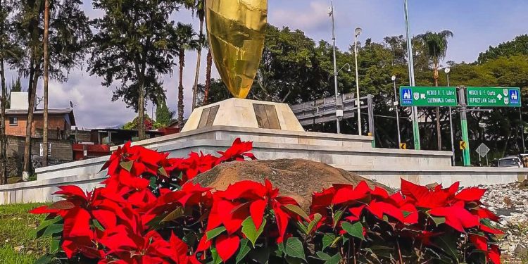 Embellece ayuntamiento de Cuernavaca espacios públicos con flor de nochebuana que producen en Tetela del Monte