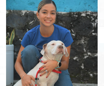 Promueve Andy Gordillo regular la venta de animales domésticos en vía pública y la tenencia responsable a través de reformas a la Ley de Fauna