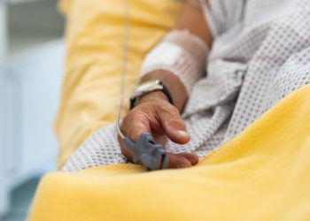 Tras 19 años, nuevamente reportan decesos por casos de rabia en México