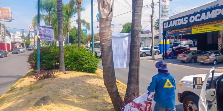 Exhorta Fiscalía Ambiental del Cuernavaca a respetar normatividad y no colocar propaganda en árboles y espacios no permitidos