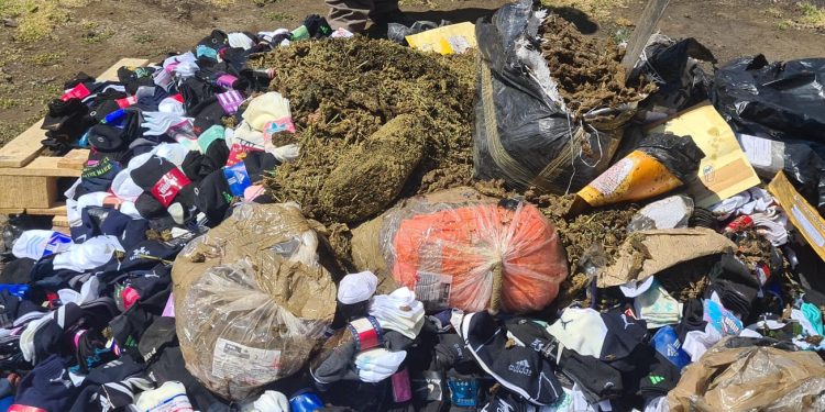 Incenera la FGR droga y objetos del delito en Morelos