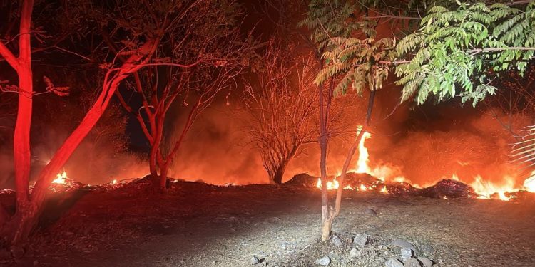 Bomberos y personal de emergencias de Cuernavaca atienden incendio en el poblado de Ocotepec