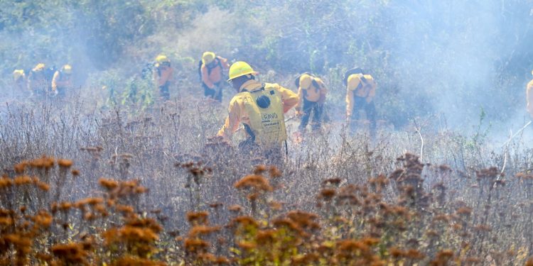 Convoca gobierno de Morelos a la población para sumarse al cuidado de los bosques y selvas de la entidad