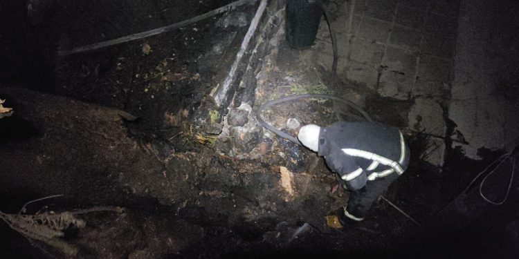 Atiende cuerpo de bomberos de Cuernavaca el incendio de un árbol al interior del Jardín Borda