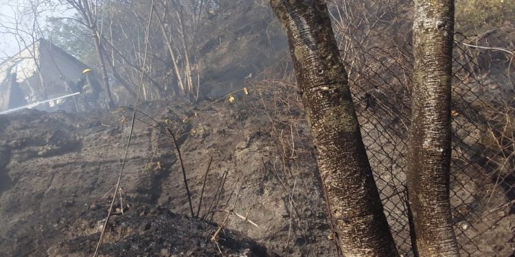 Atienden bomberos de Cuernavaca incendio registrado en la colonia Benito Juárez