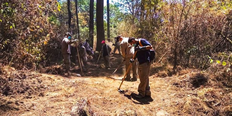 Ayuntamiento de Cuernavaca prioriza la traza y mantenimiento de brechas cortafuegos para prevenir incendios forestales