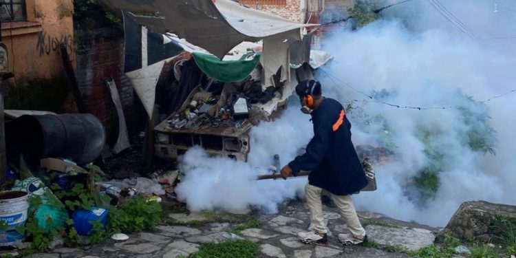 Intensifica Ayuntamiento de Cuernavaca el combate contra el Dengue en Cuernavaca