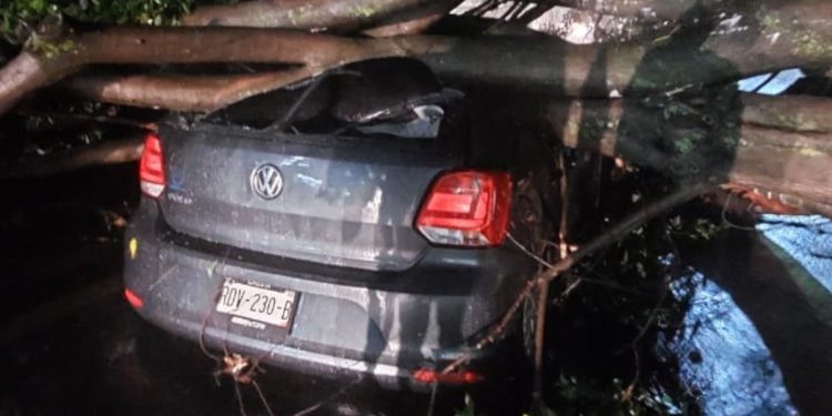 Se despliega personal de bomberos, rescate y urgencias médicas para atender emergencias causadas por tormenta del martes