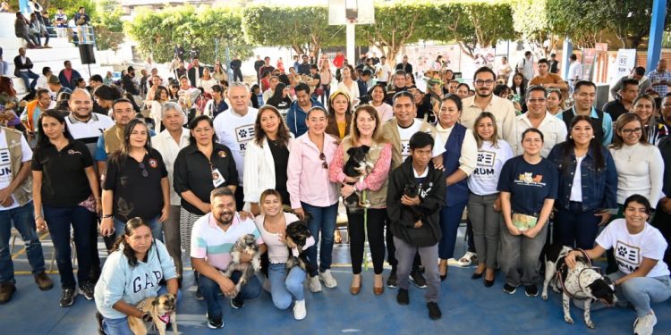 Impulsa Gobierno del estado de Morelos registro único de mascotas
