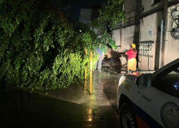 Atiende la SEPRAC reporte tras intensas lluvias del fin de semana