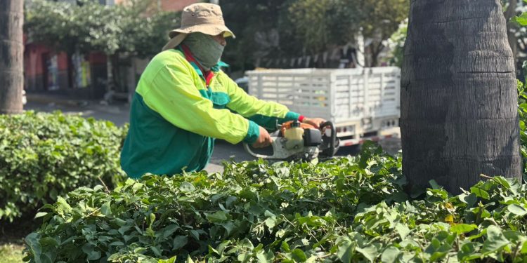 Refuerza Cuernavaca mantenimiento de áreas verdes en temporada de lluvias