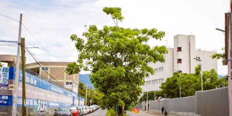 Cuernavaca formaliza la recepción de la Calle La Rivera tras 14 años de gestión