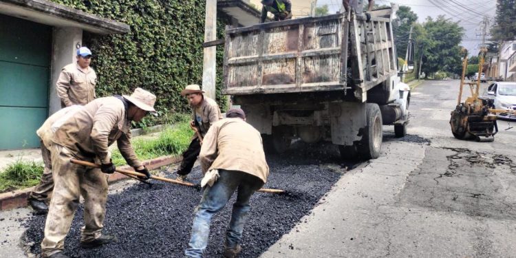Atienden árbol caído y refuerzan mantenimiento vial en Cuernavaca tras lluvias
