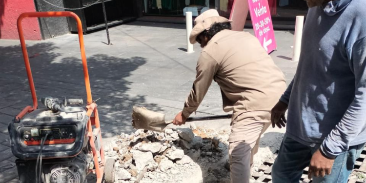 Inicia reemplazo de rejilla pluvial en la Calle Gutenberg, Colonia Centro