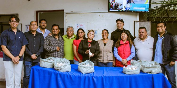 Cuernavaca intensifica acciones contra enfermedades transmitidas por el dengue