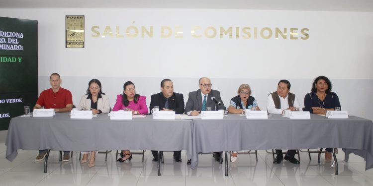 Proponen marco legal para maternidad y gestación subrogada en Morelos