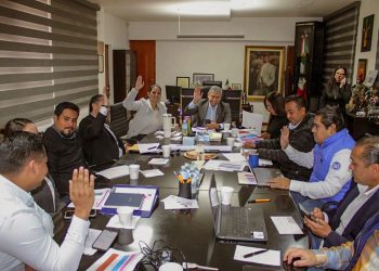 Consejos Municipales