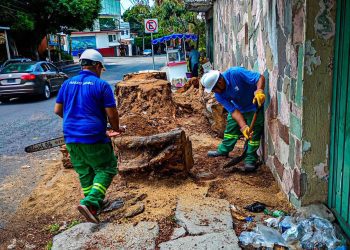 Miraval recupera espacio público con retiro de árbol