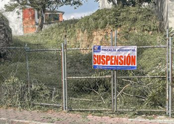 Fiscalía Ambiental suspende predio por tala en Tlaltenango