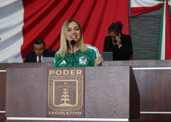 Registro obligatorio de mascotas, propone Andrea Gordillo