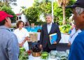 Bazar Esencia impulsa el consumo local en Cuernavaca