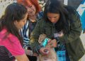 Vacunación antirrábica gratuita protege a más de 480 mascotas