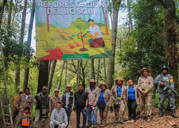 Reforestación en Cuernavaca inicia con mil 700 árboles