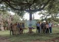 Reforestación Urbana inicia con 30 árboles en Cuernavaca