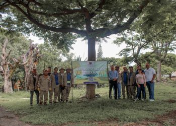 Reforestación Urbana inicia con 30 árboles en Cuernavaca