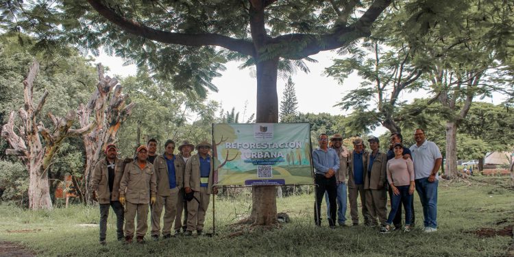 Reforestación Urbana inicia con 30 árboles en Cuernavaca
