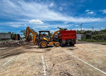 Protección Animal de Cuernavaca mejora con intervención integral
