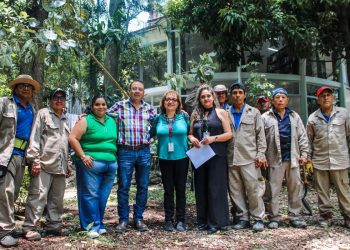 Cuernavaca conmemora el Día del Árbol con amates