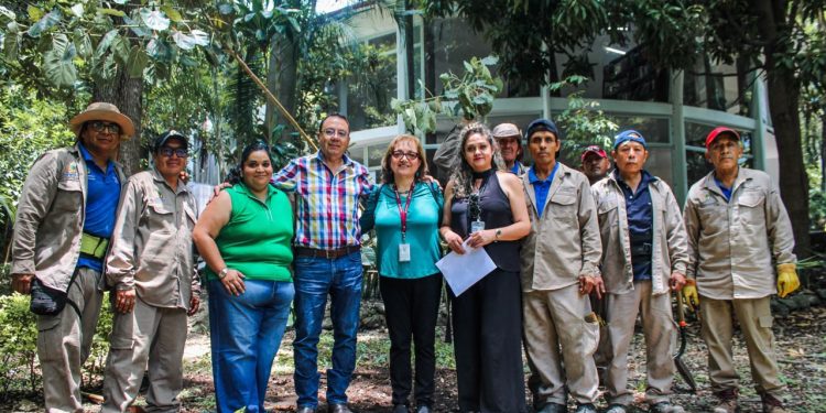 Cuernavaca conmemora el Día del Árbol con amates
