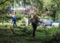 Mega jornada recupera camellón de Teopanzolco