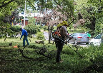 Mega jornada recupera camellón de Teopanzolco