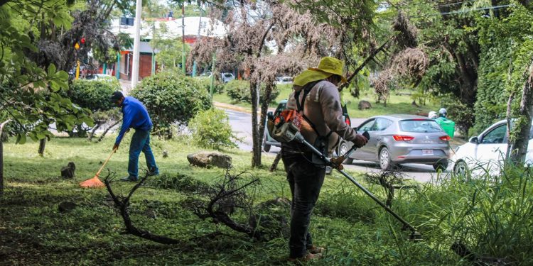 Mega jornada recupera camellón de Teopanzolco