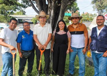 Reforestación urbana fortalece avenida Vicente Guerrero
