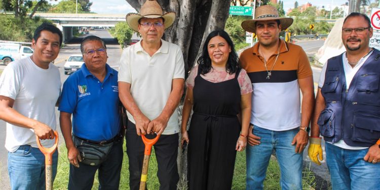 Reforestación urbana fortalece avenida Vicente Guerrero