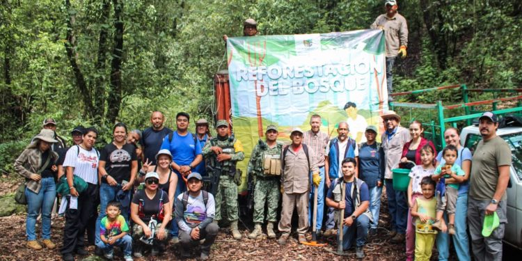 Reforestación en Cuernavaca: plantan 600 árboles