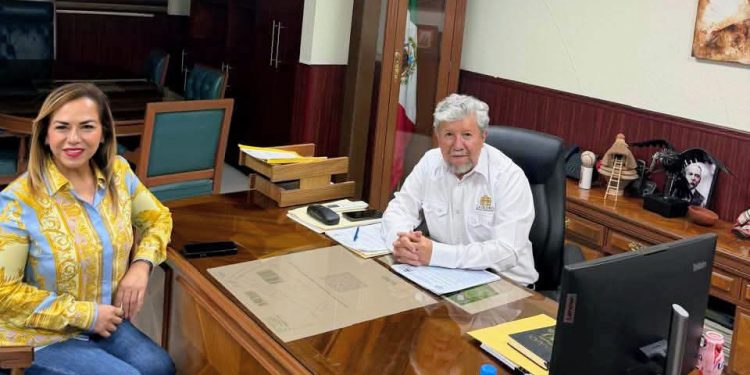 Ganado Charolais llegará a Morelos para mejorar producción